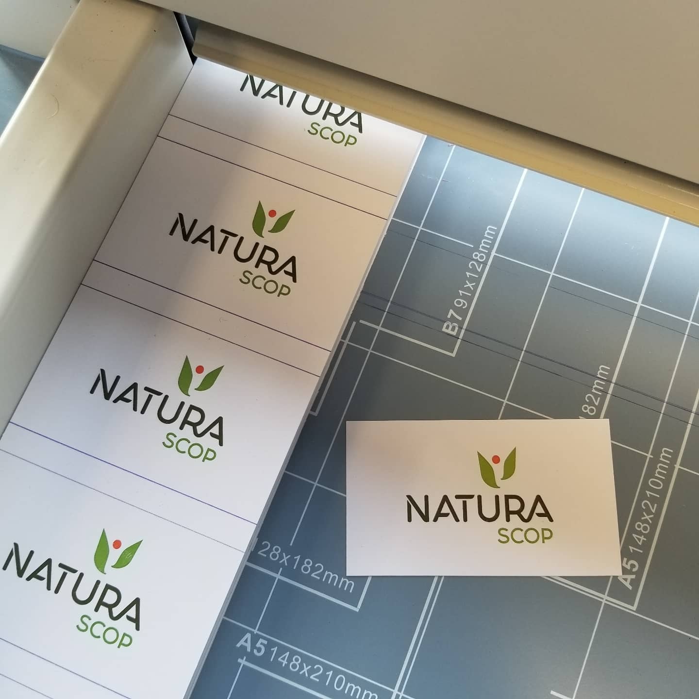 Planche de cartes de visite Natura Scop en cours de coupe sur le massicot de l'atelier, tapis gradué visible